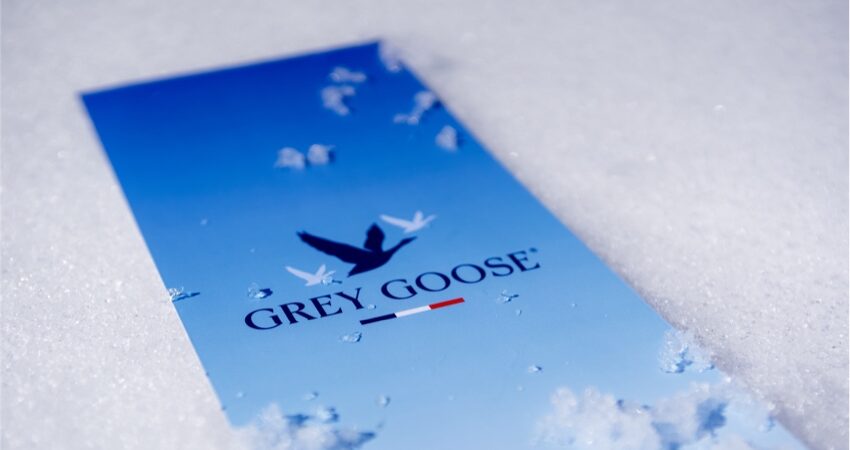 Grey Goose - image 02